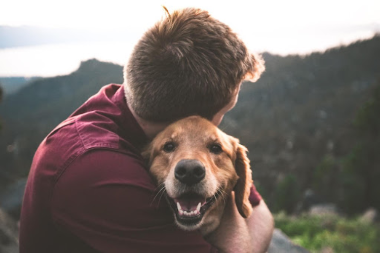 grief for family pet